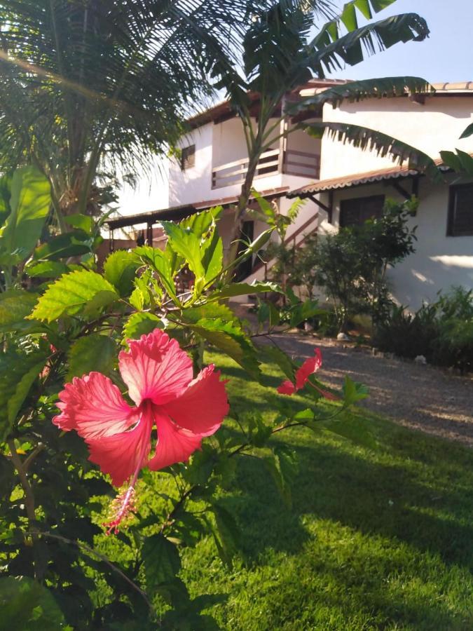 Tropicana Village São Miguel do Gostoso Exteriér fotografie
