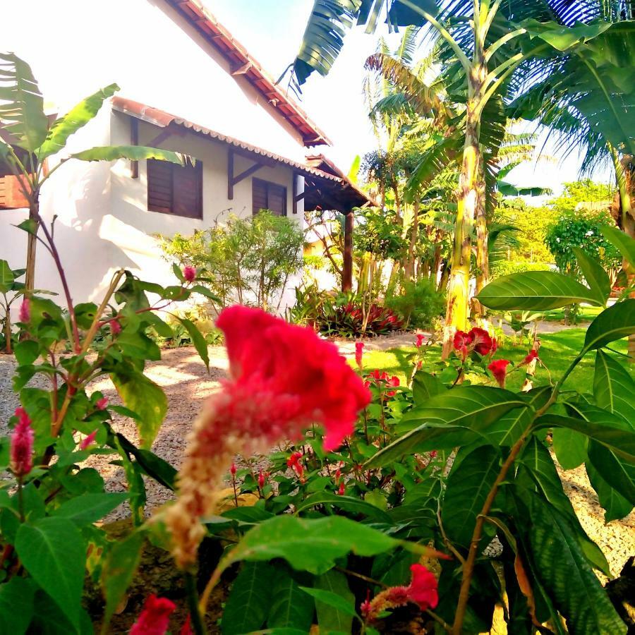 Tropicana Village São Miguel do Gostoso Exteriér fotografie